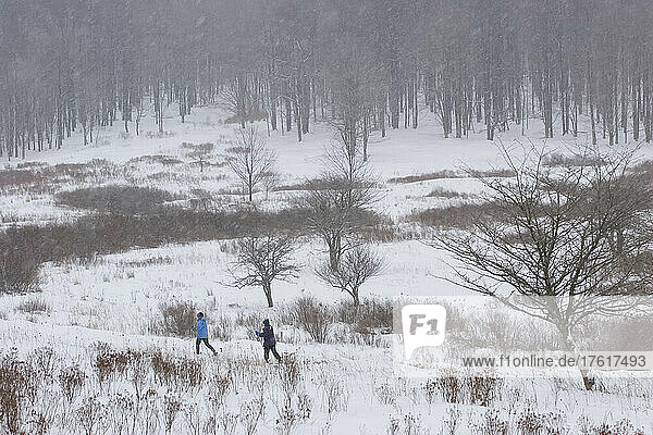 Two women cross country skiing in falling snow; Canaan Valley  West Virginia.