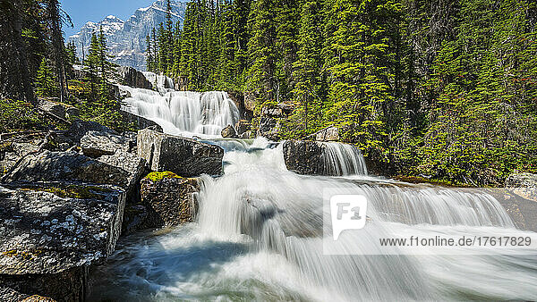 Wasser  das über die Giant Steps am Paradise Creek  Banff National Park  Alberta  Kanada  stürzt
