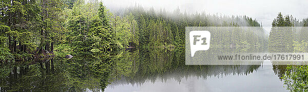 Tief hängende Wolken sitzen auf den Baumwipfeln eines üppigen Waldes  der sich im ruhigen Rice Lake im Lynn Valley Canyon spiegelt  North Vancouver  BC  Kanada; North Vancouver  British Columbia  Kanada