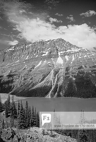 Peyto Lake und Rocky Mountains Banff National Park Alberta  Kanada