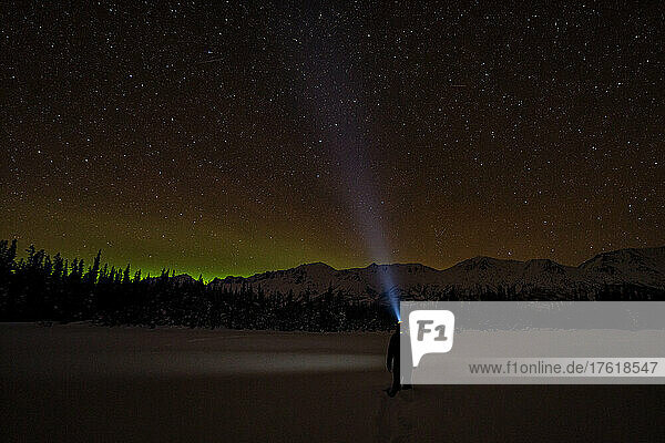 Blick von hinten auf eine Frau  die in den Nachthimmel starrt  während sie mit einer Stirnlampe durch eine schneebedeckte Winterlandschaft mit funkelnden Sternen am Himmel geht; Whitehorse  Yukon  Kanada