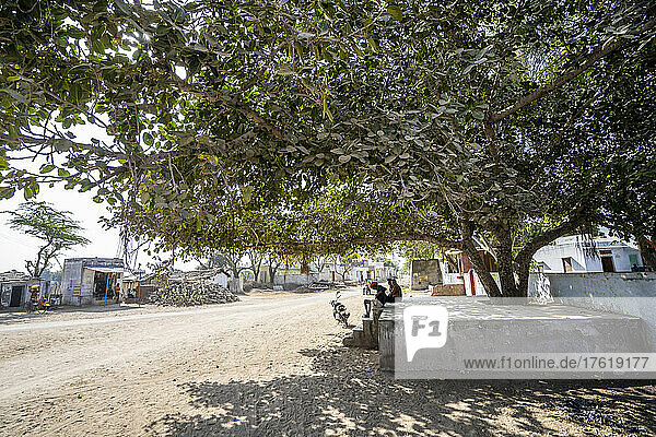 Straßenszene in einem ländlichen Dorf in Indien  Menschen sitzen im Schatten eines großen Baumes; Indien