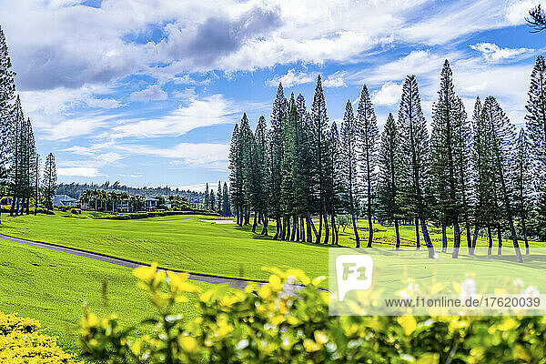 Golfplatz auf der Insel Maui  Hawaii  USA; Maui  Hawaii  Vereinigte Staaten von Amerika
