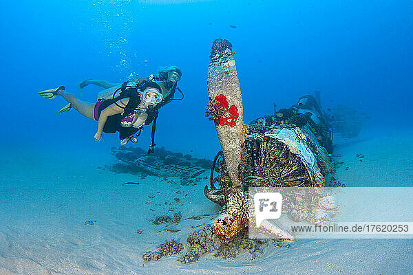 Divers on the WWII Corsair fighter plane off Southeast Oahu  Hawaii  USA; Oahu  Hawaii  United States of America