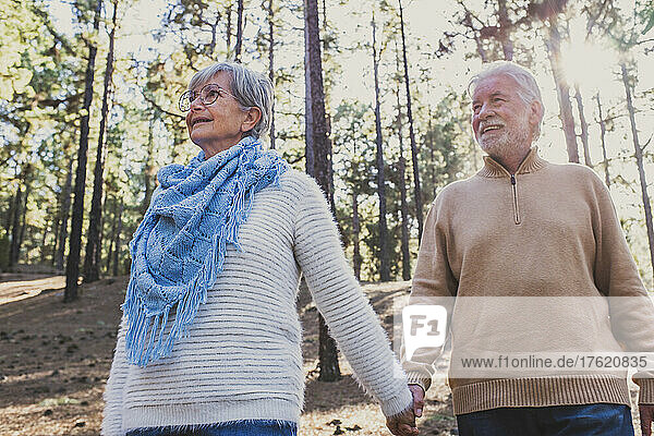 Smiling senior couple holding hands in forest