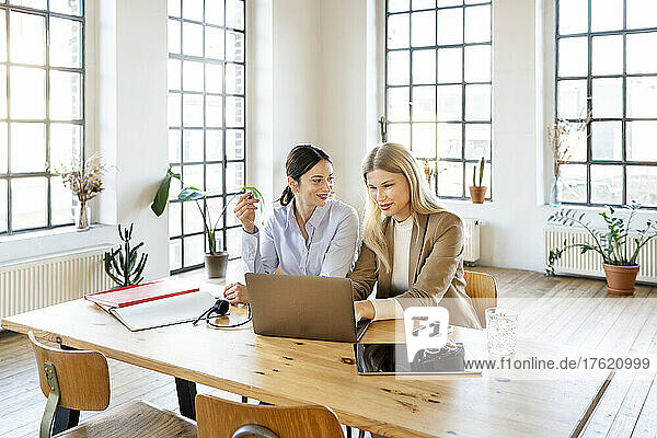 Businesswoman working with colleague at home office