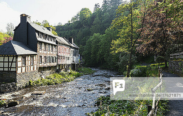 Germany  North Rhine-Westphalia  Monschau  Historic half-timbered townhouses standing on bank of Rur river in spring
