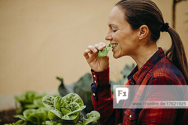 Woman with eyes closed eating fresh lettuces at courtyard garden