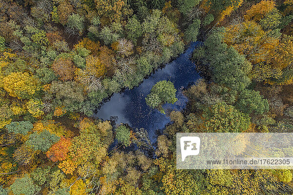 Drone view of small pond in middle of autumn forest