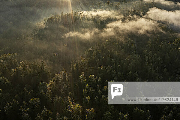 Aerial view of Bleiloch Reservoir at foggy autumn morning
