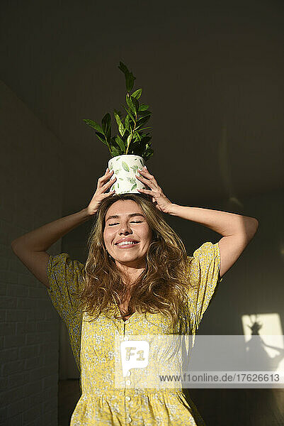 Happy woman holding houseplant on head at home