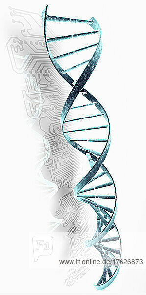 DNA-Helix und Leiterplatte