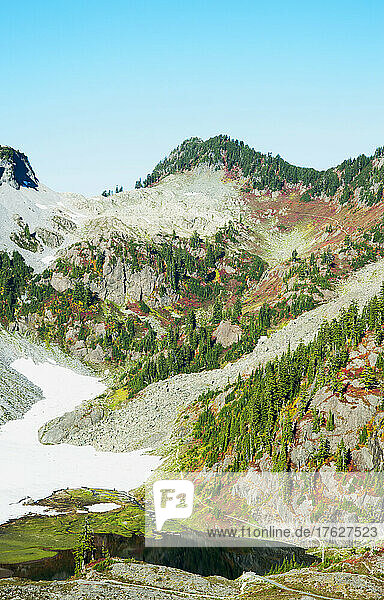 Wooded hillside on glacier in Mt. Baker-Snoqualmie National Forest.