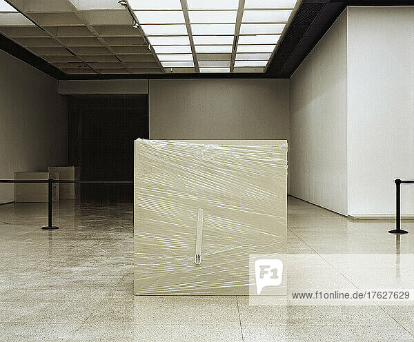 Art gallery space  ceiling light panels  marble floor tiles and exhibition plinth.