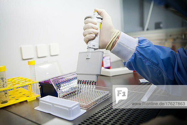 Laboratory developing therapeutic vaccines for the treatment of lung cancer by stimulating the immune system.