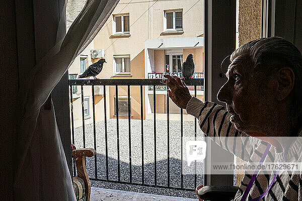 A hundred-year-old widow at the nursing home with her canary. Fifille is the name of the canary  locked up like her  but in a cage.