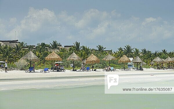Sandstrand  Sonnenschirme  Strandliegen  Isla Holbox  Quintana Roo  Mexiko  Mittelamerika