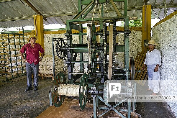 Seilherstellung  Maschine  Landwirtschaftsmuseum  Produktion von Sisalfasern  Hacienda Sotuta de Peon  Yucatan  Mexiko  Mittelamerika
