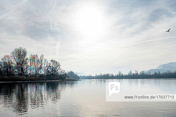 Italy  Sun and bare trees reflected in calm lake