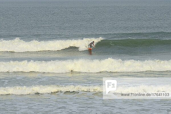 Surfer reitet die Welle an der Praia de Moçambique  Ilha do Santa Catarina  Florianópolis  Brasilien  Südamerika