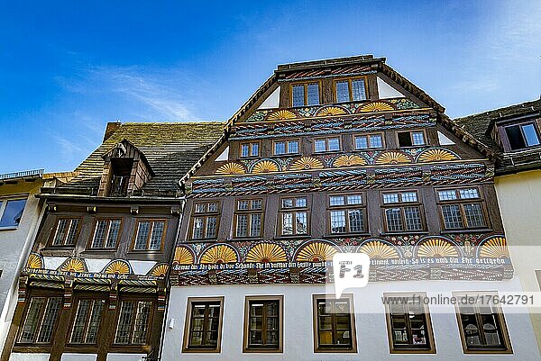 Half-timbered house in the old town  Höxter  North Rhine-Westphalia  Germany  Europe