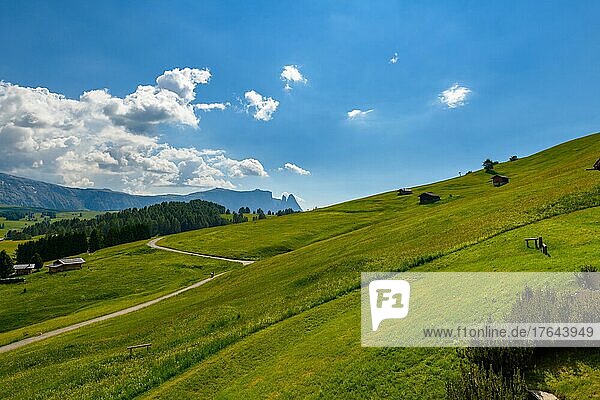 In Südtirol auf der Seiser Alm im Frühsommer mit einigen Almhütten auf saftig grünen Weiden. Im Hintergrund ist ein großer Berg mit einigen Wolken am blauem Himmel. Die steilen Wiesen werden durch eine schmale Straße getrennt