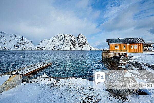 Yellow traditional rorbu house in Sakrisoy fishing village in norwegian fjord in winter on Lofoten Islands  Norway