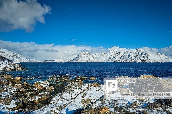 Lofoten islands and Norwegian sea in winter with snow covered mountains  Lofoten islands  Norway  Europe