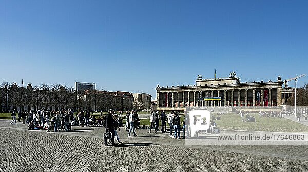 Touristen am Lustgarten und dem Neuen Museum  Berlin  Deutschland  Europa