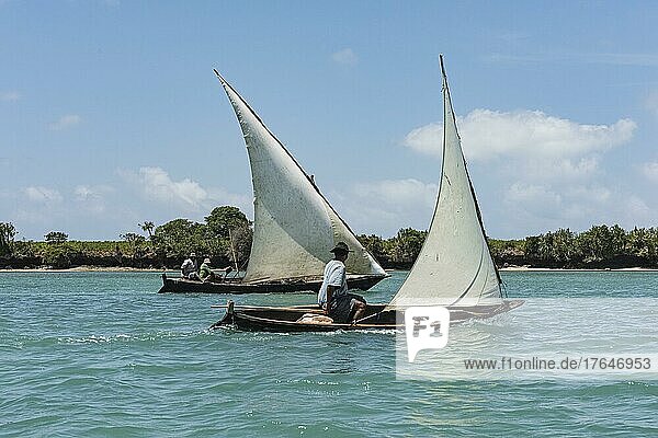 Fischer mit Segelbooten vor der Insel Tumbatu  Sansibar  Tansania  Afrika