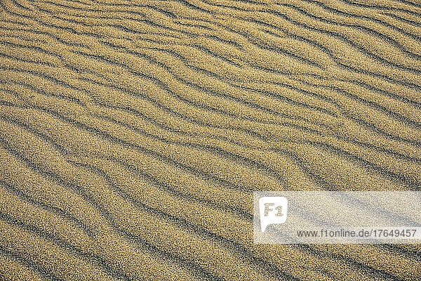 Close-up of rippled sand