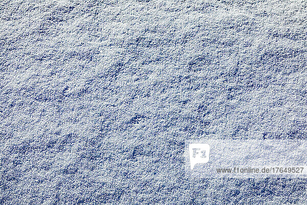 Close-up of snow near Sun Valley
