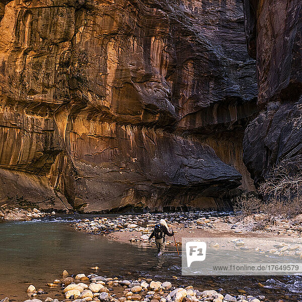 United States  Utah  Zion National Park  Rear view of senior female hiker wading The Narrows of Virgin River in Zion National Park
