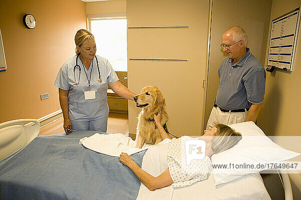 Dog assisted therapy for patient in hospital