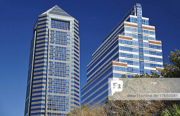 Jacksonville  Florida  Modern office buildings on sunny day