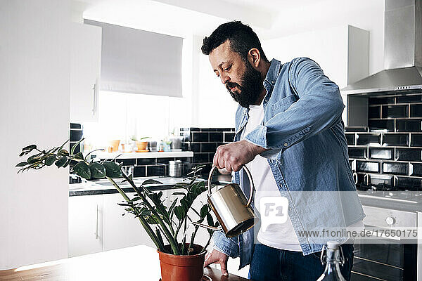 Man watering potted plant with watering can at home