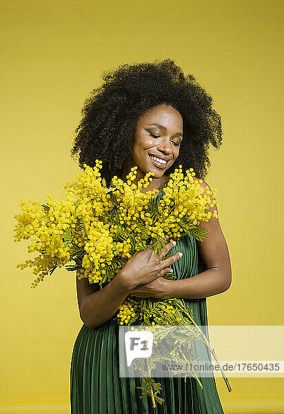 Smiling young woman holding bunch of mimosa flowers against yellow background