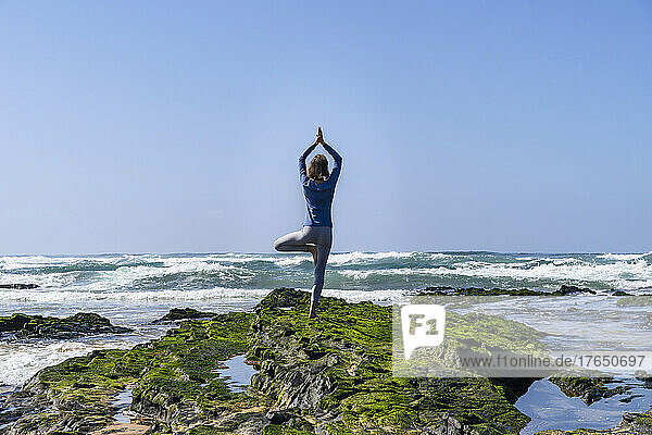 Woman standing on rock in tree pose doing yoga at beach