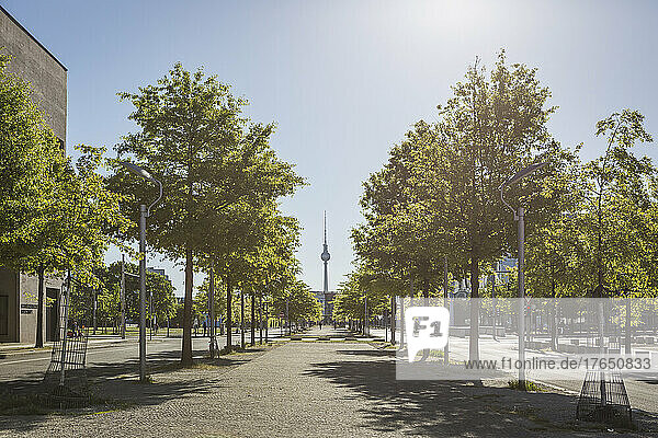 Germany  Berlin  Treelined street in Government District with Berlin Television Tower in background