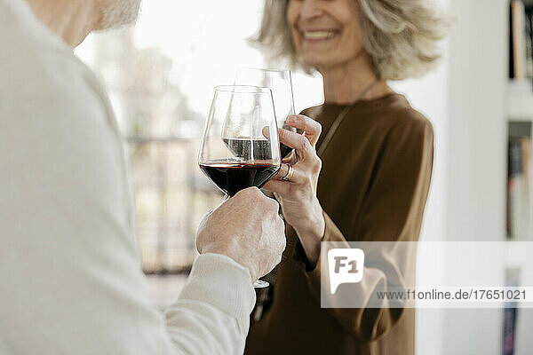 Senior couple toasting wineglasses at hotel apartment