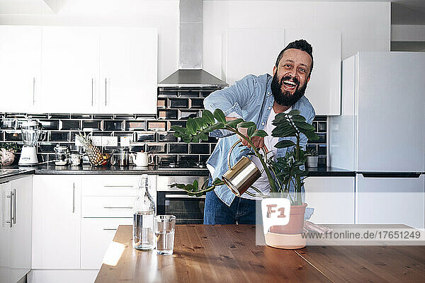 Man laughing and watering potted plant at home