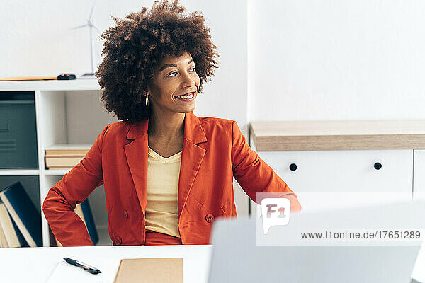 Smiling businesswoman with laptop sitting at desk in office