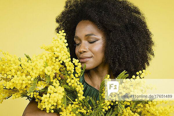 Young woman smelling mimosa flowers against yellow background