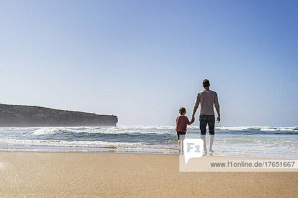 Father and daughter walking towards sea on sunny day