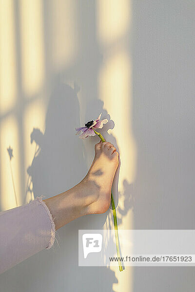 Girl holding flower with leg on white wall