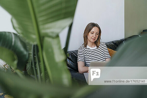 Woman with laptop sitting on sofa