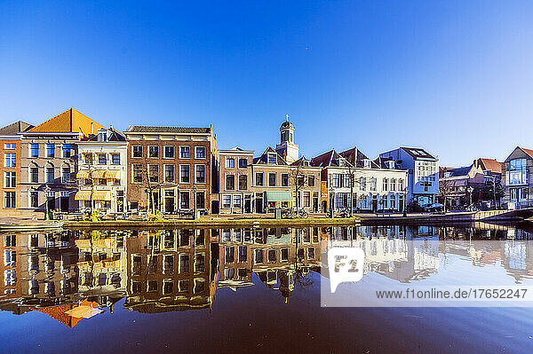 Netherlands  South Holland  Leiden  Row of townhouses reflecting in city canal