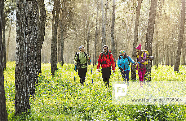 Freunde wandern gemeinsam im Wald