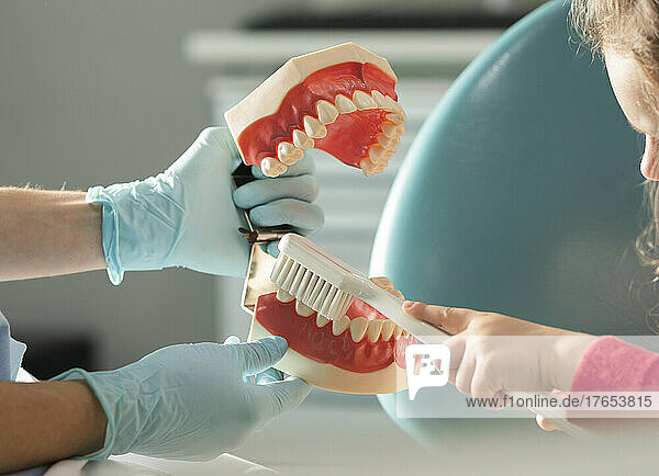 Dentist teaching girl oral hygiene at medical clinic