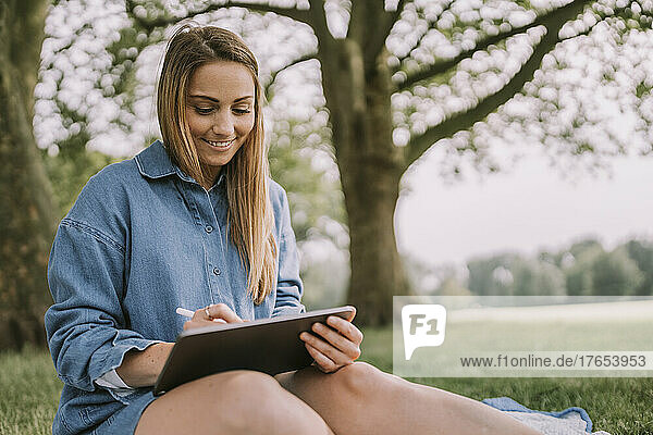 Smiling woman using tablet computer sitting in park